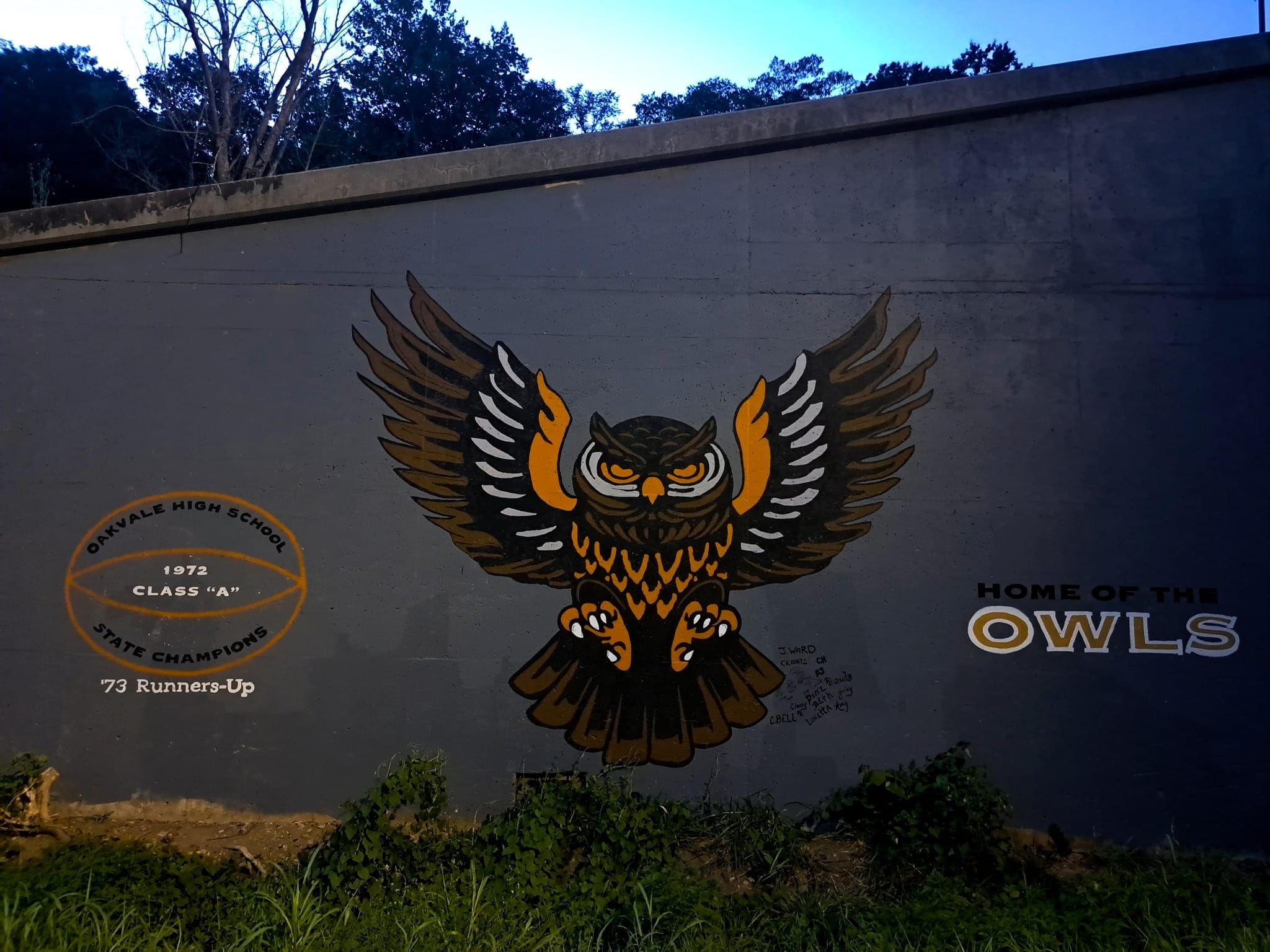 Beautiful Oakvale Owls mural celebrating community heritage